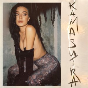 Обложка: Элина Чага - Камасутра