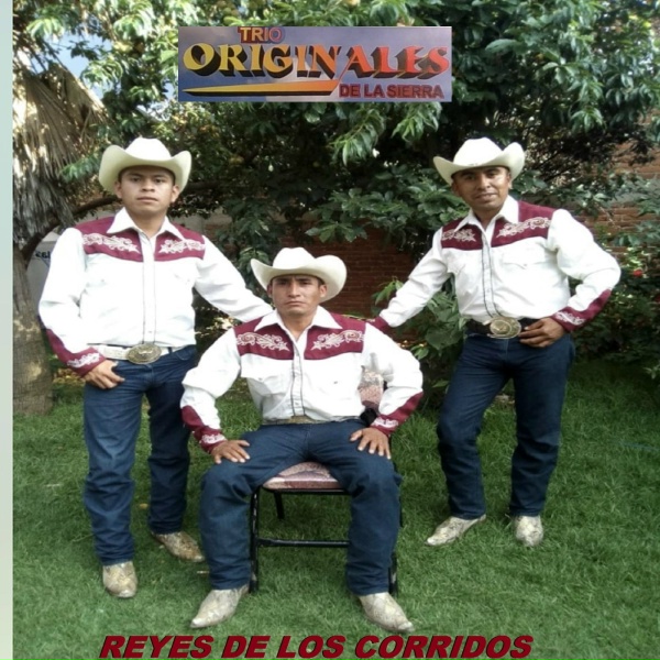 Обложка: Trio Originales De La Sierra - Mi Linda Texana