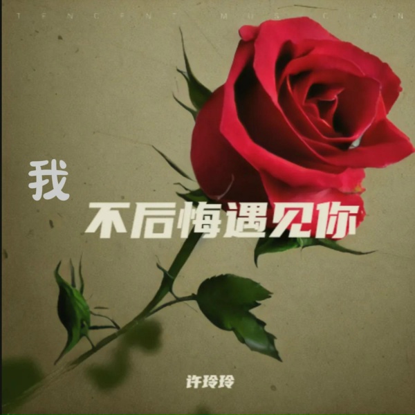 Обложка: 许玲玲, 許玲玲 - 你来了一阵子