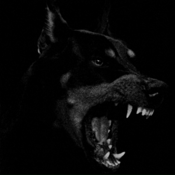 Обложка: aura$ - Doot doot (6 7)