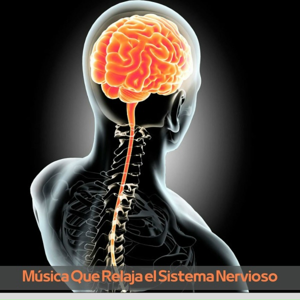 Обложка: Terapia De Sonidos - Ayuda En La Recuperación Física