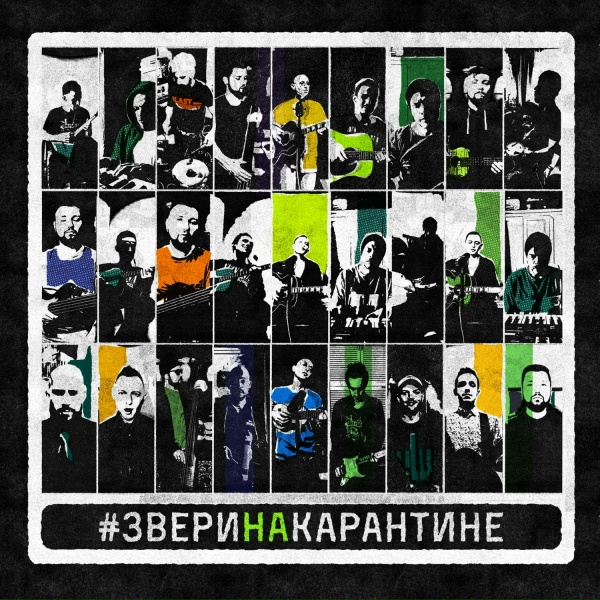 Обложка: Звери - Микки