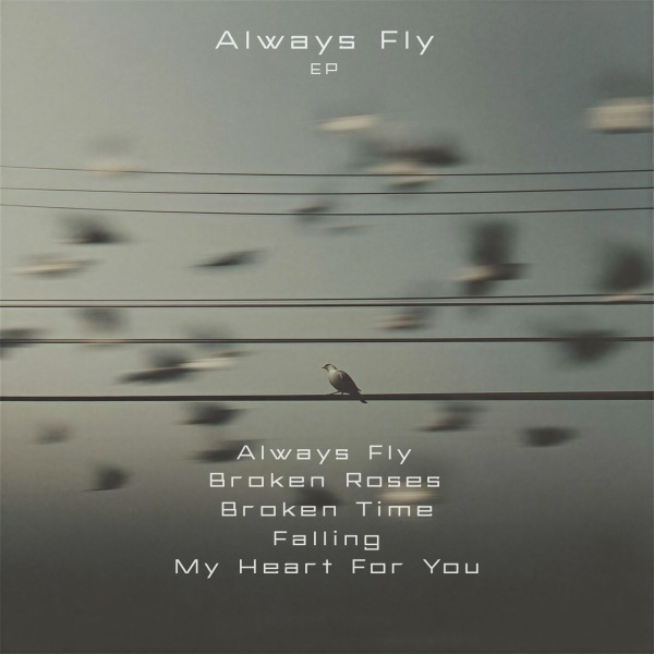 Обложка: Imazee feat. Neuron - Always Fly