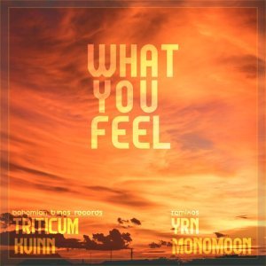 Обложка: TRITICUM, Kvinn - What You Feel