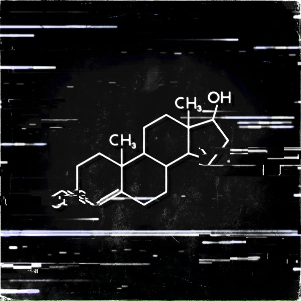 Обложка: SQL2VD - Testosterone