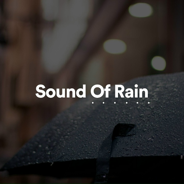 Обложка: Rain Sounds & Nature Sounds - Sound of Rain, Pt. 4