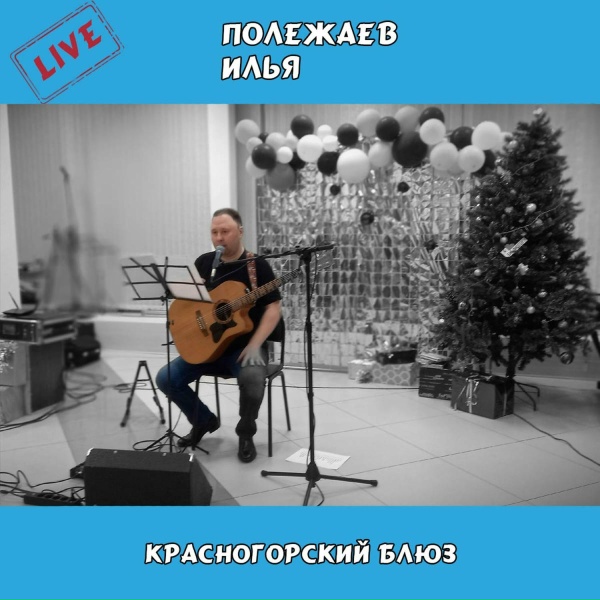 Обложка: Илья Полежаев - В календаре