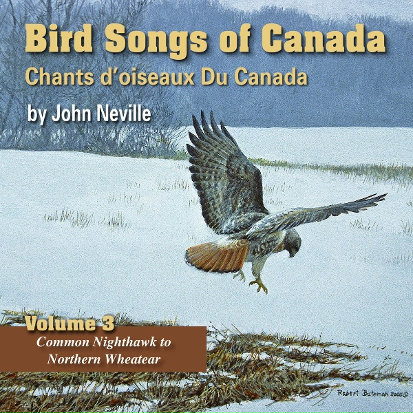 Обложка: John Neville - Steller's Jay