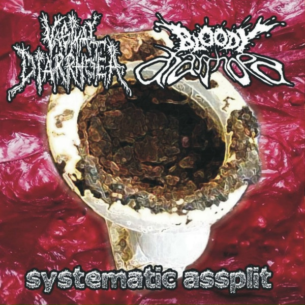 Обложка: Bloody Diarrhoea, Vaginal Diarrhoea - The Hovenant