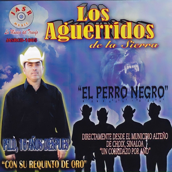 Обложка: Los Aguerridos De La Sierra - La noria escondida