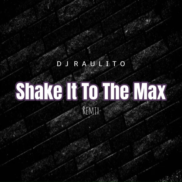 Обложка: Dj Raulito - Shake It To The Max