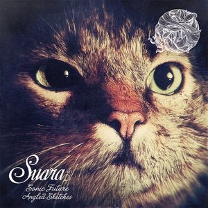 Обложка: Sonic Future - Waiting For