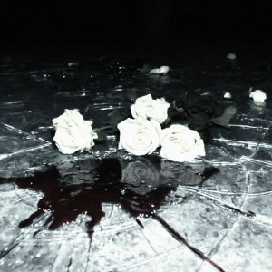 Обложка: WHITE GALLOWS, Danny Farro - Бредить