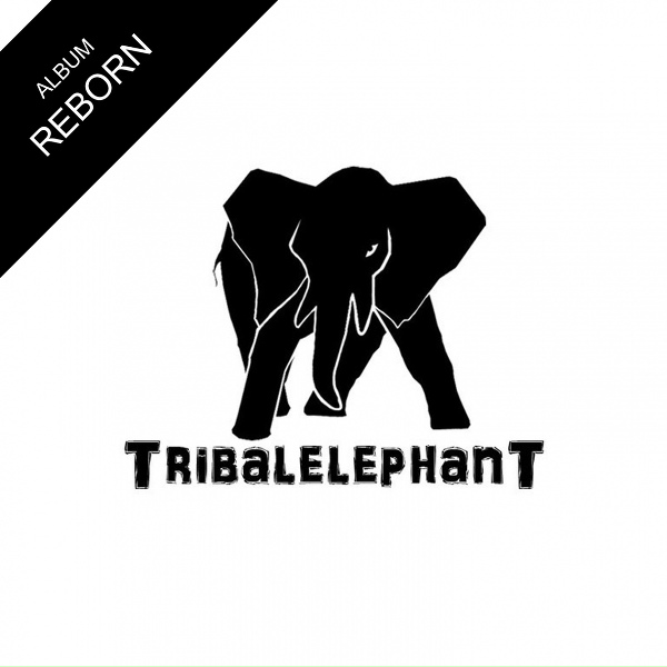 Обложка: TribalelephanT - AIRinFUSE