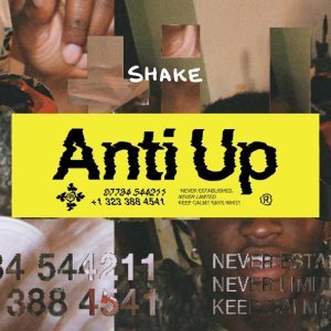 Обложка: Anti Up - Shake