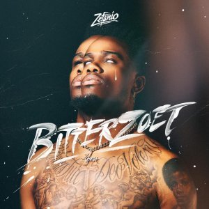 Обложка: Zefanio - Own It