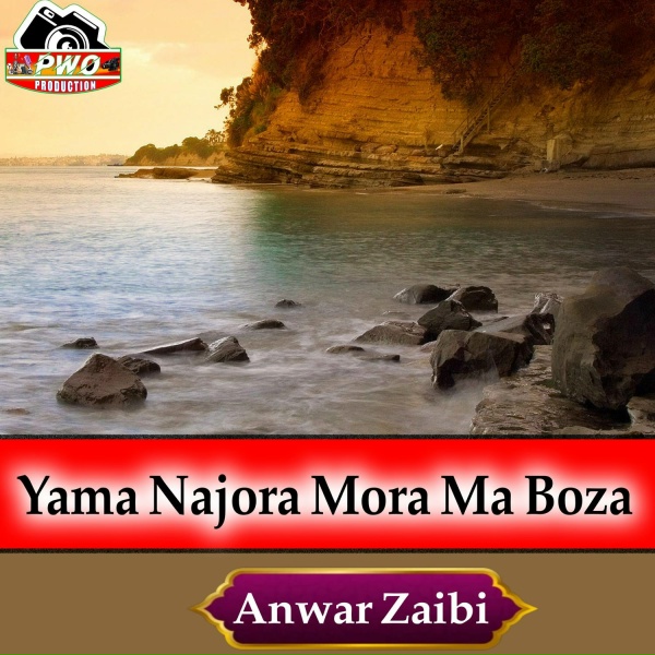 Фото: Anwar Zaibi