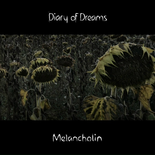 Обложка: Diary of Dreams - Welt aus Porzellan