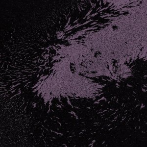 Обложка: nordskol - Twelve