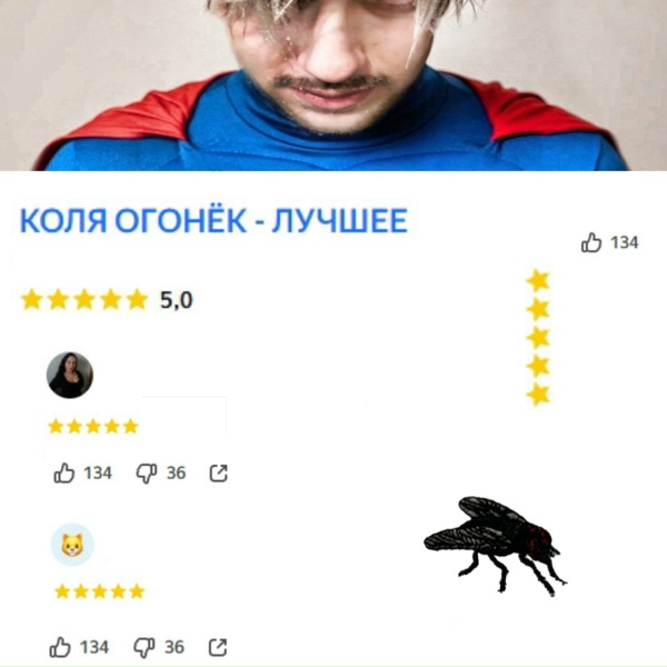 Обложка: КОЛЯ ОГОНЁК - ДОМАШКА