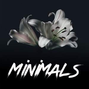 Обложка: Rokka Animal, Marco Hess - Belive Half
