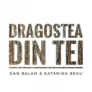 Обложка: Dan Balan, Katerina Begu - Dragostea Din Tei