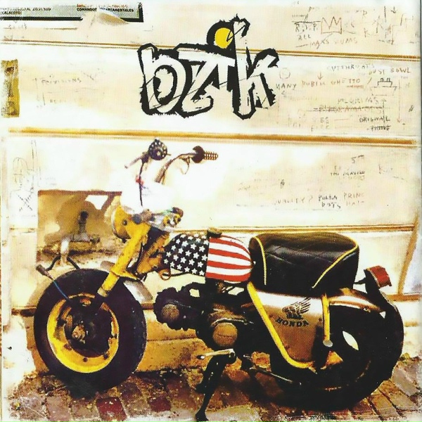 Обложка: Bzik - Пальто