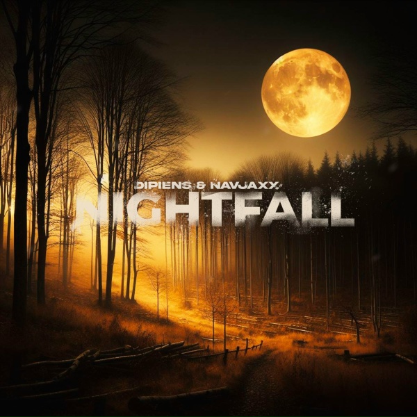 Обложка: DIPIENS, Navjaxx - NIGHTFALL