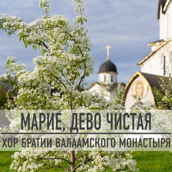Обложка: Хор братии Валаамского монастыря - Марие, Дево Чистая