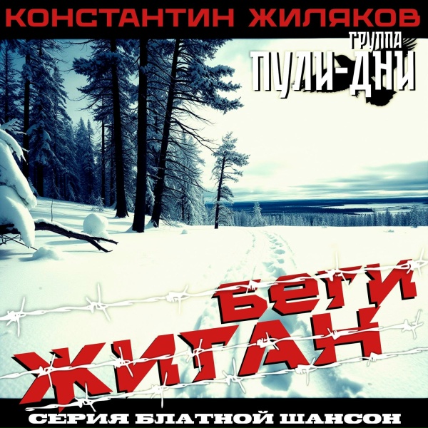 Обложка: Константин Жиляков, Группа Пули-Дни - Пушкин