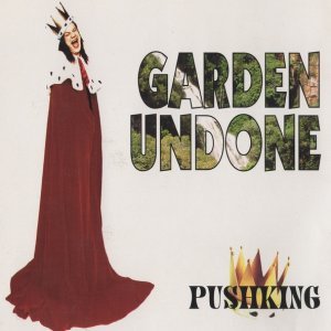 Обложка: Pushking - Wise Man