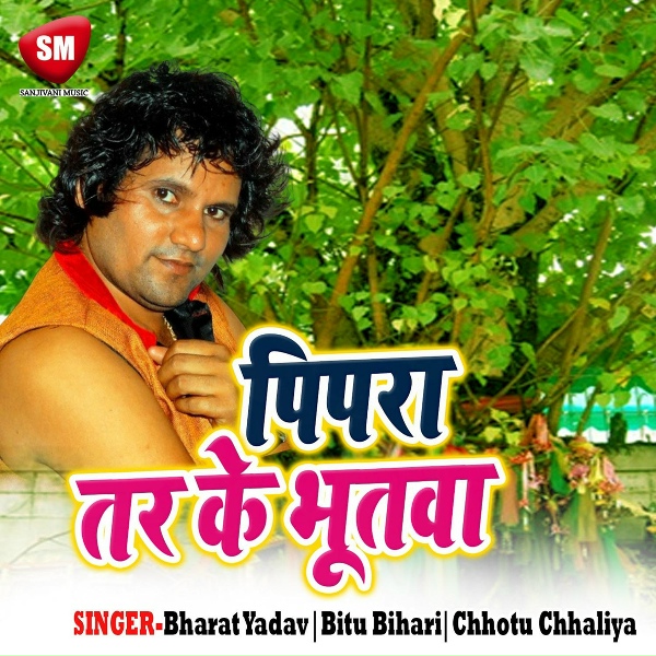 Обложка: Chhotu Chhaliya - Navmi Me Ghare Karilate Pujaiya