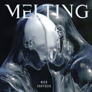 Обложка: Nico Cartosio - Snow Above The Earth