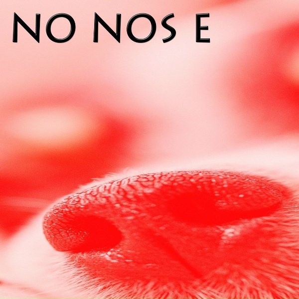 Обложка: NO NOS E - Barking Love