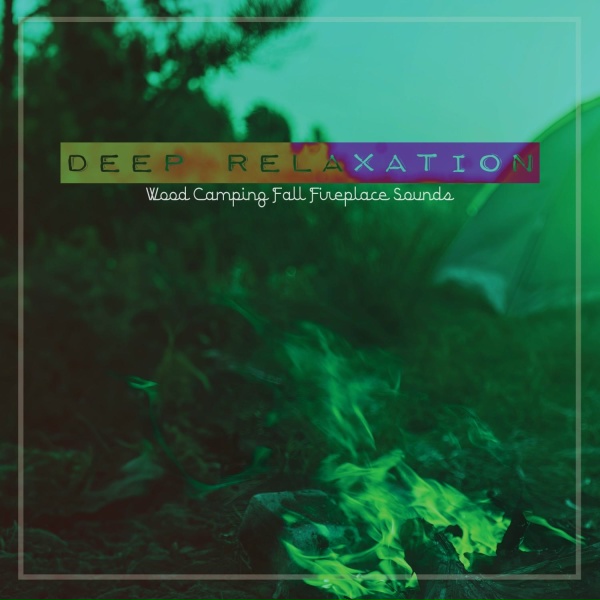 Обложка: Craig Hewitt - Wood Camping Fall Fireplace Sounds, Pt. 9