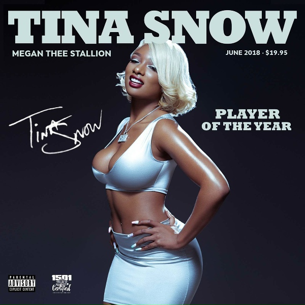 Обложка: Megan Thee Stallion - Tina Montana