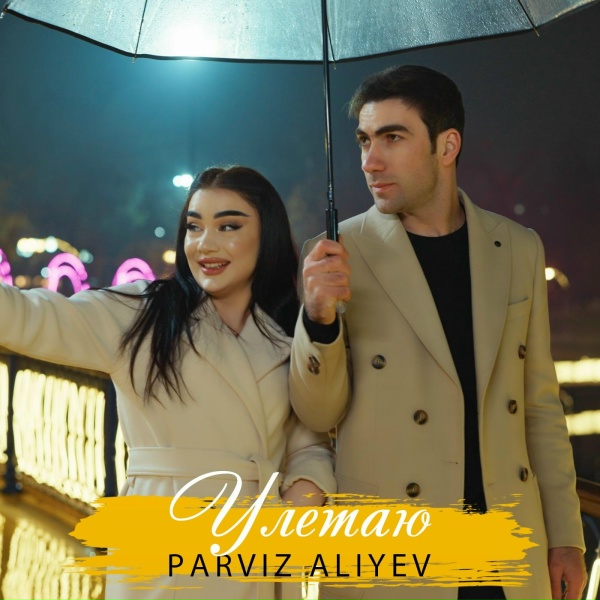 Обложка: Parviz Aliyev - Ты не плачь любимая