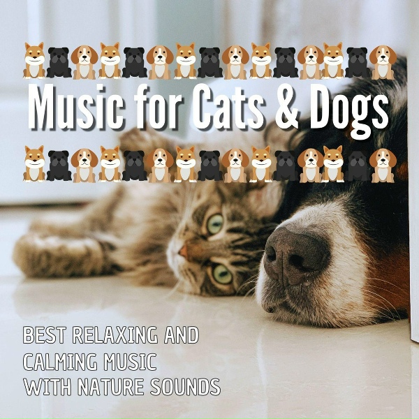 Обложка: Charles Calm - Best Relaxing and Calming Music