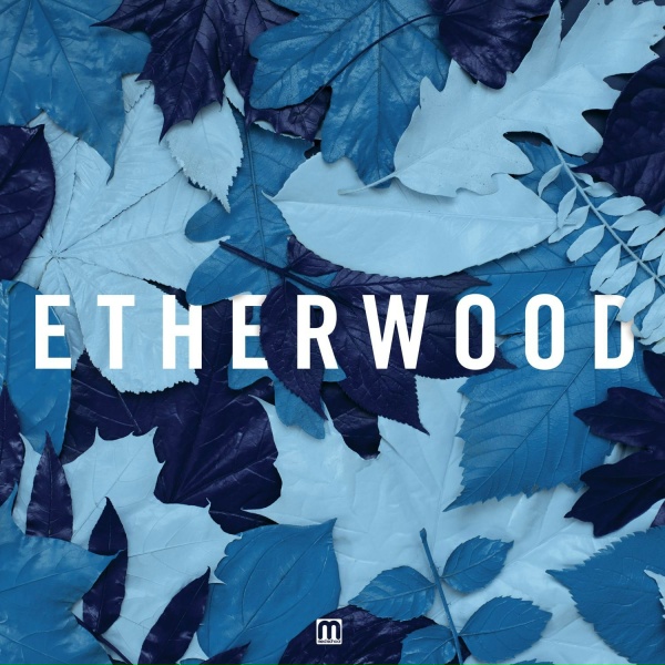 Обложка: Etherwood - You'll Always Be A Part Of Me