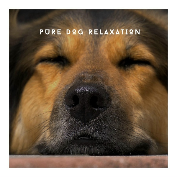 Обложка: Relaxing Dog Chillout - Dog Chillout Calm