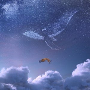 Обложка: iday - Lullaby