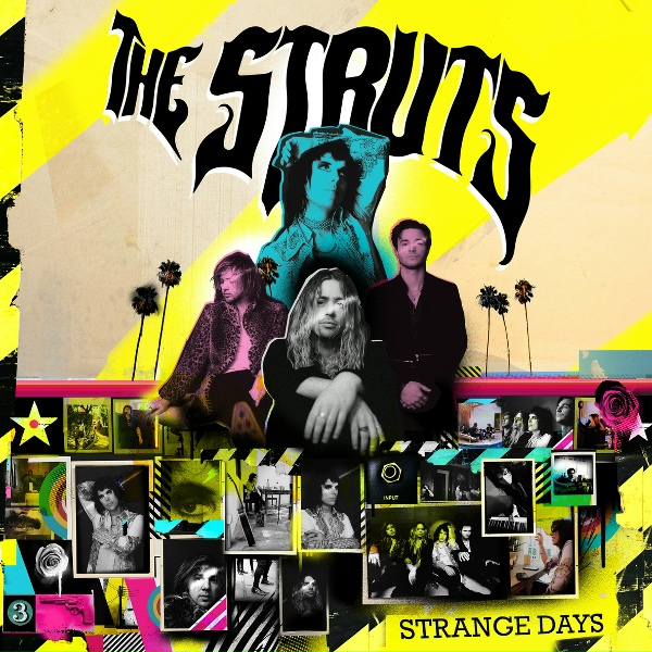 Обложка: The Struts - Burn It Down
