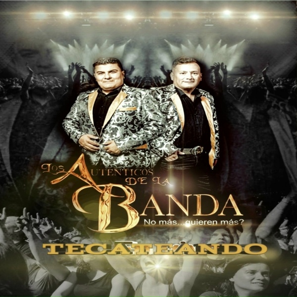 Обложка: Los auténticos de la banda - Se Casa para el Domingo