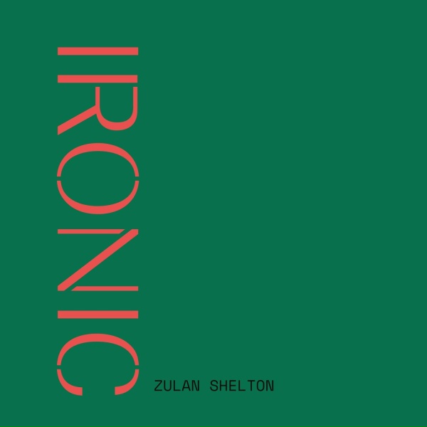 Обложка: Zulan Shelton - Hold on