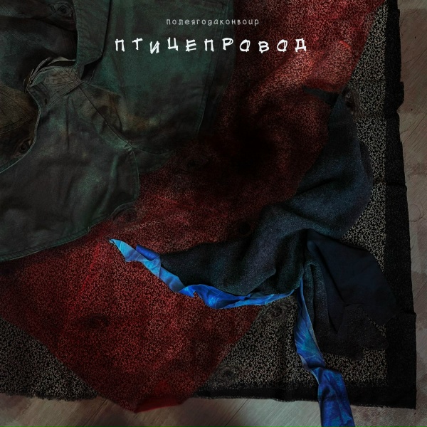 Обложка: полеягодаконвоир - ты родила говно