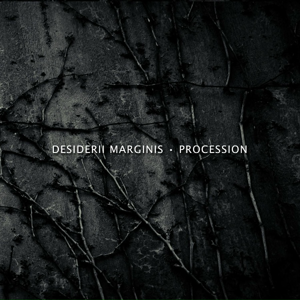 Обложка: Desiderii Marginis - Adrift