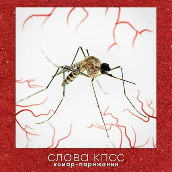 Обложка: Слава КПСС - Икар