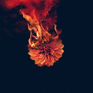 Обложка: Wolves At The Gate - Shadows