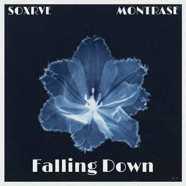 Обложка: SOXRVE, MONTRASE - Faliing Down (Slowed)