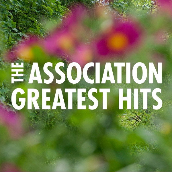 Обложка: The Association - Windy